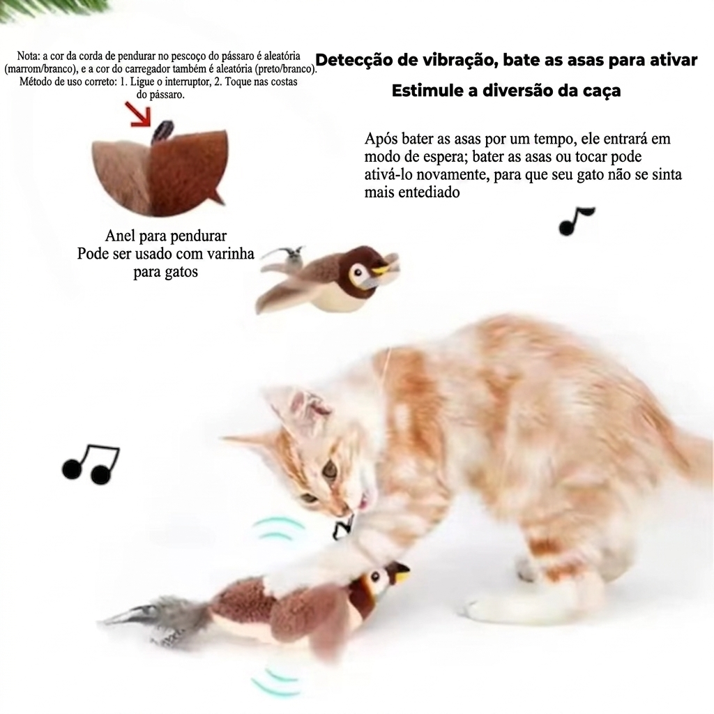 Colo Pet
