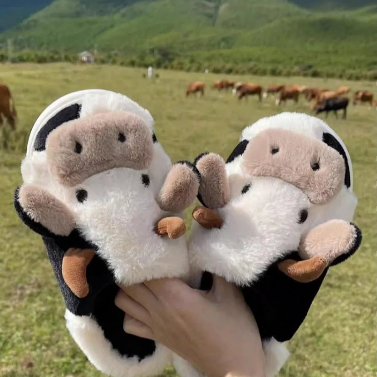 Colo Pet