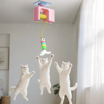 Colo Pet