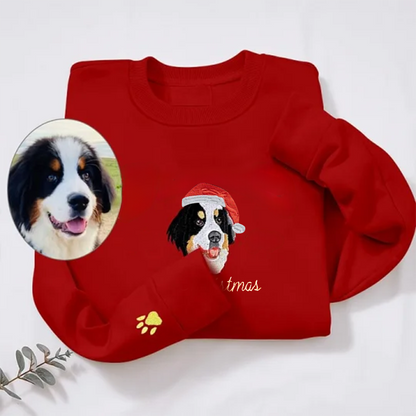 Colo Pet