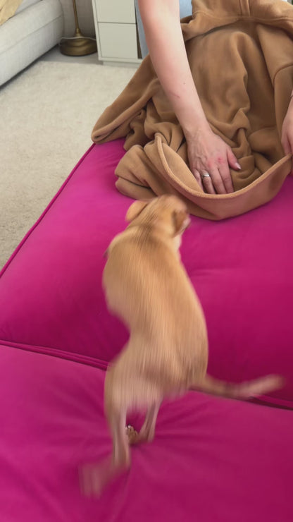 Colo Pet